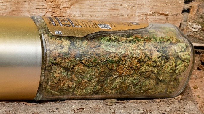 Krivična prijava zbog droge